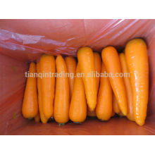 Fresh China Carrot , Red Carrot